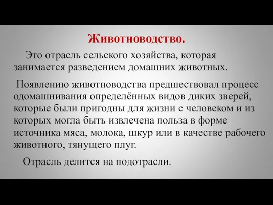 Животноводство. Это отрасль сельского хозяйства, которая занимается разведением домашних животных.