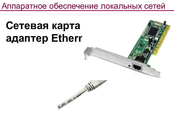 Сетевая карта – адаптер Ethernet Аппаратное обеспечение локальных сетей