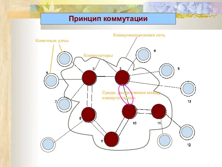 Конечные узлы Коммутаторы Среда, разделяемая между коммутаторами Коммуникационная сеть Принцип коммутации