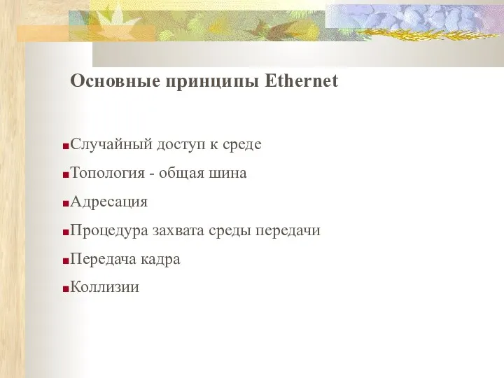 Основные принципы Ethernet Случайный доступ к среде Топология - общая