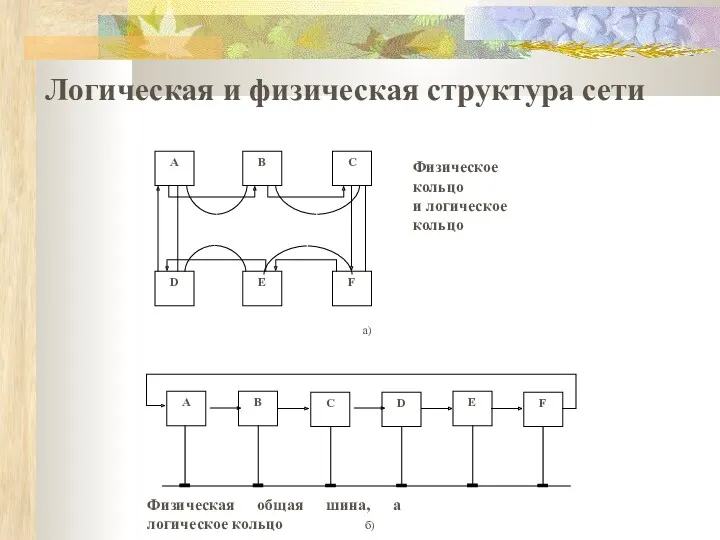 Логическая и физическая структура сети