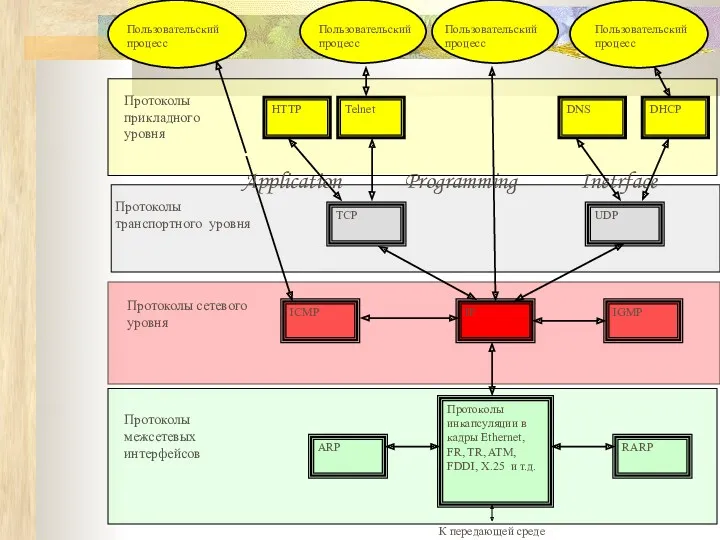 К передающей среде Протоколы межсетевых интерфейсов RARP Протоколы инкапсуляции в