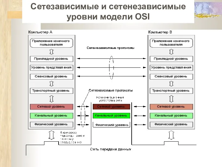 Сетезависимые и сетенезависимые уровни модели OSI