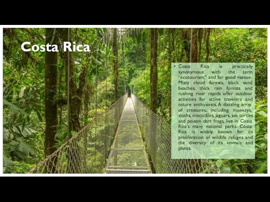 Costa Rica is practically synonymous with the term “ecotourism,” and