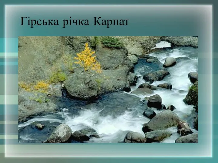 Гірська річка Карпат