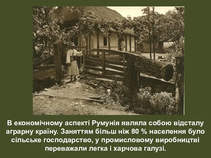 В економічному аспекті Румунія являла собою відсталу аграрну країну. Заняттям більш ніж 80