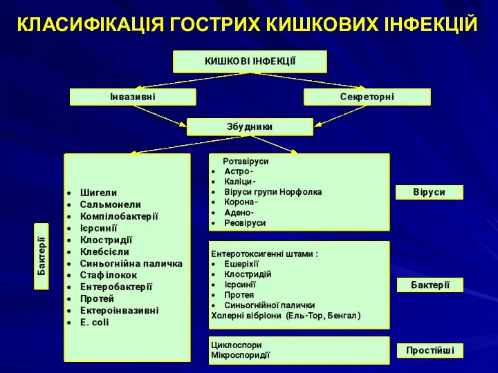 КЛАСИФІКАЦІЯ ГОСТРИХ КИШКОВИХ ІНФЕКЦІЙ