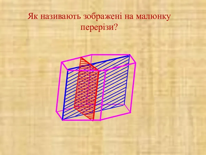 Як називають зображені на малюнку перерізи?