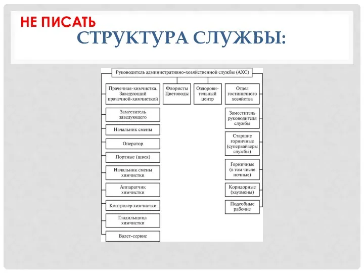 СТРУКТУРА СЛУЖБЫ: НЕ ПИСАТЬ