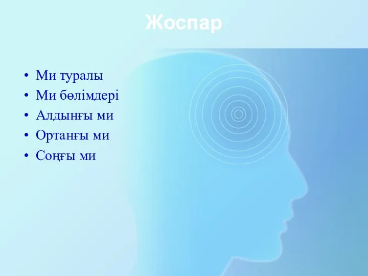 Жоспар Ми туралы Ми бөлімдері Алдынғы ми Ортанғы ми Соңғы ми