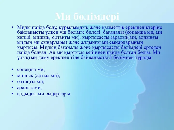 Ми бөлімдері Миды пайда болу, құрылымдық және қызметтік ерекшеліктеріне байланысты