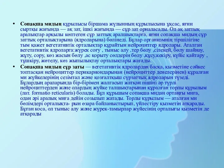 Сопақша мидың құрылысы біршама жүлынның құрылысына ұқсас, яғни сыртқы жағында