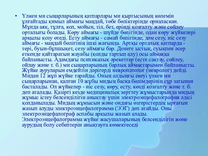 Үлкен ми сыңарларының қатпарлары ми қыртысының көлемін ұлғайтады қимыл аймағы