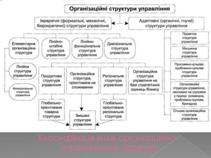 Класифікація видів організаційно-управлінських структур