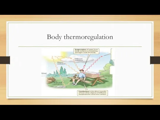 Body thermoregulation