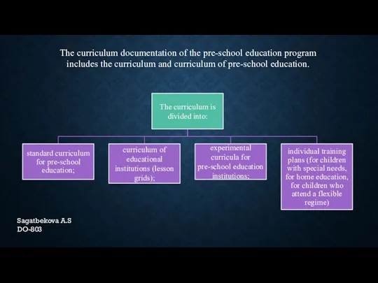The curriculum documentation of the pre-school education program includes the curriculum and curriculum
