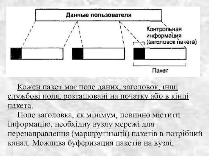 Кожен пакет має поле даних, заголовок, інші службові поля, розташовані