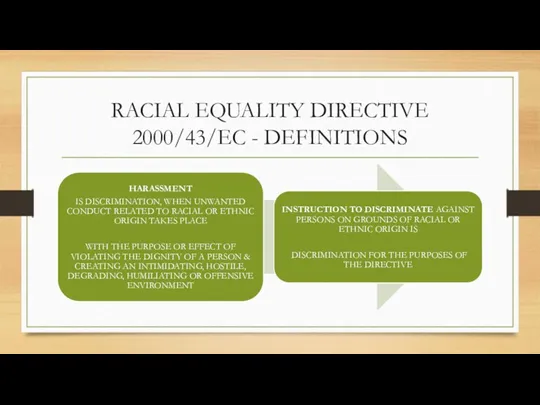 RACIAL EQUALITY DIRECTIVE 2000/43/EC - DEFINITIONS