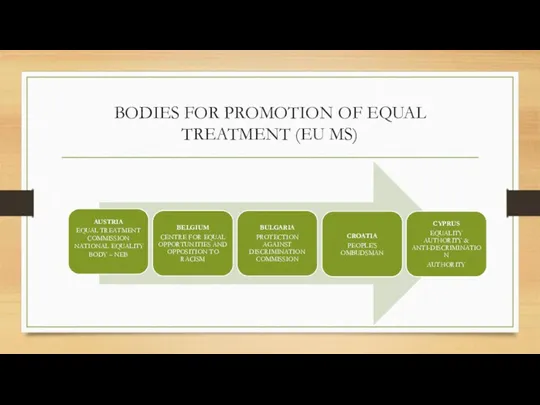 BODIES FOR PROMOTION OF EQUAL TREATMENT (EU MS)