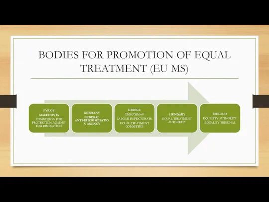 BODIES FOR PROMOTION OF EQUAL TREATMENT (EU MS)