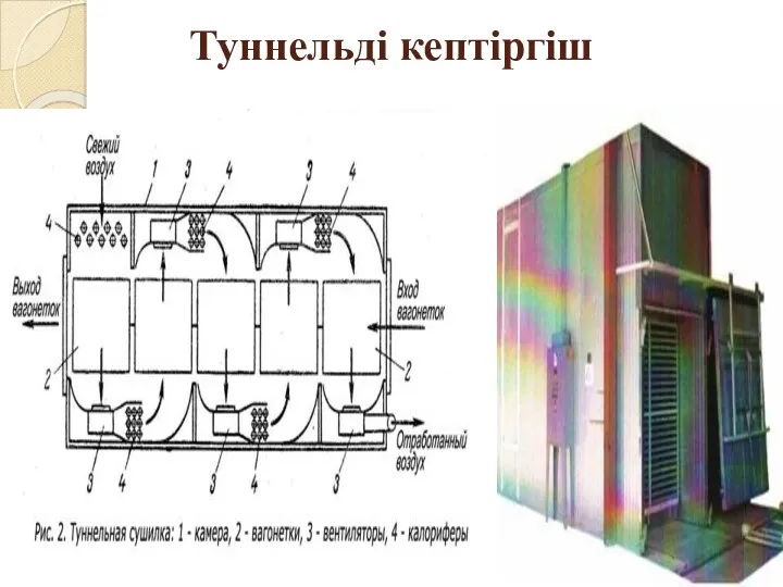 Туннельді кептіргіш