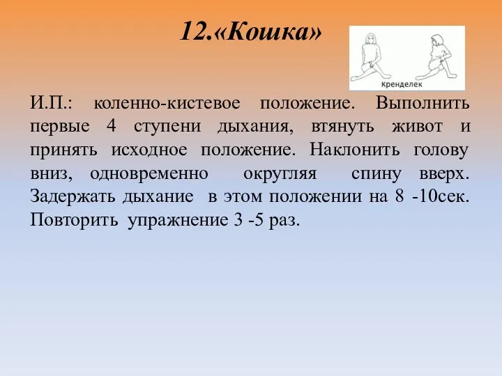 12.«Кошка» И.П.: коленно-кистевое положение. Выполнить первые 4 ступени дыхания, втянуть