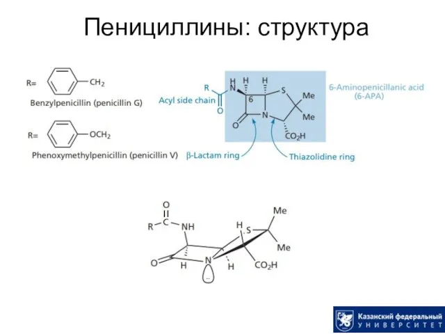 Пенициллины: структура