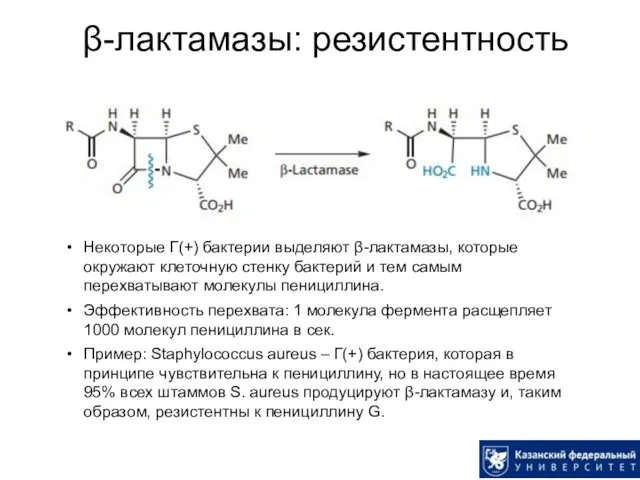 β-лактамазы: резистентность Некоторые Г(+) бактерии выделяют β-лактамазы, которые окружают клеточную