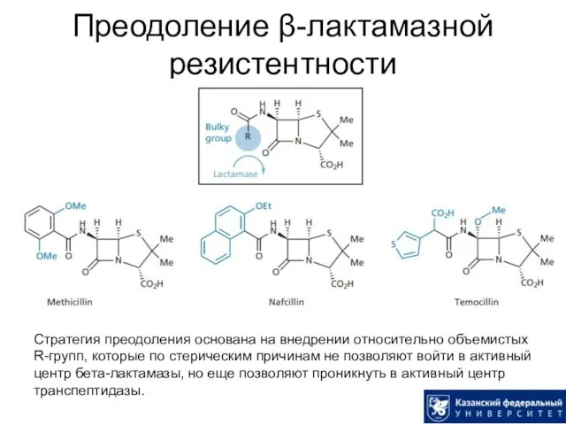 Преодоление β-лактамазной резистентности Стратегия преодоления основана на внедрении относительно объемистых