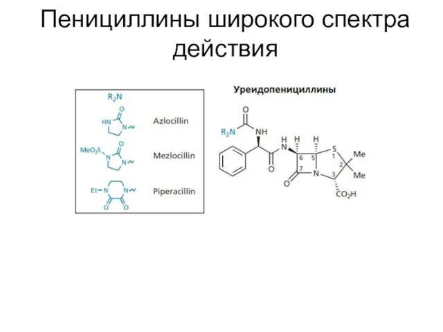 Пенициллины широкого спектра действия