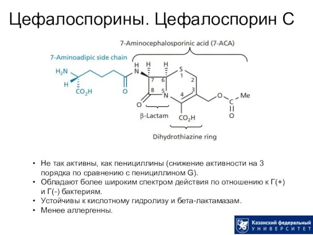 Цефалоспорины. Цефалоспорин С Не так активны, как пенициллины (снижение активности