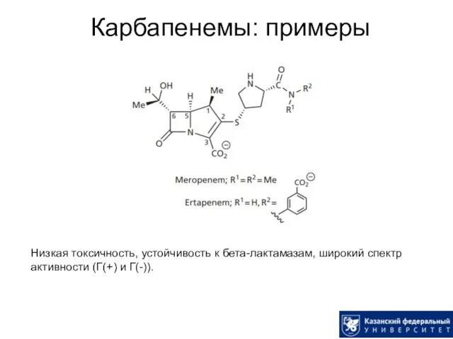 Карбапенемы: примеры Низкая токсичность, устойчивость к бета-лактамазам, широкий спектр активности (Г(+) и Г(-)).