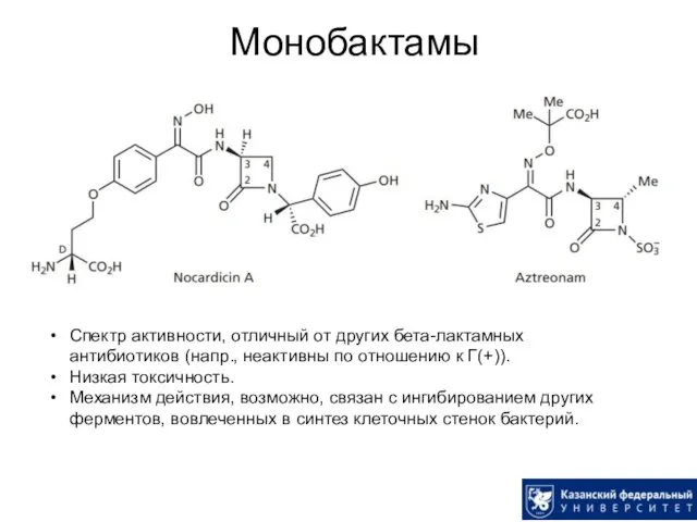 Монобактамы Спектр активности, отличный от других бета-лактамных антибиотиков (напр., неактивны по отношению к