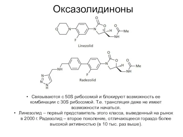 Оксазолидиноны Связываются с 50S рибосомой и блокируют возможность ее комбинации с 30S рибосомой.