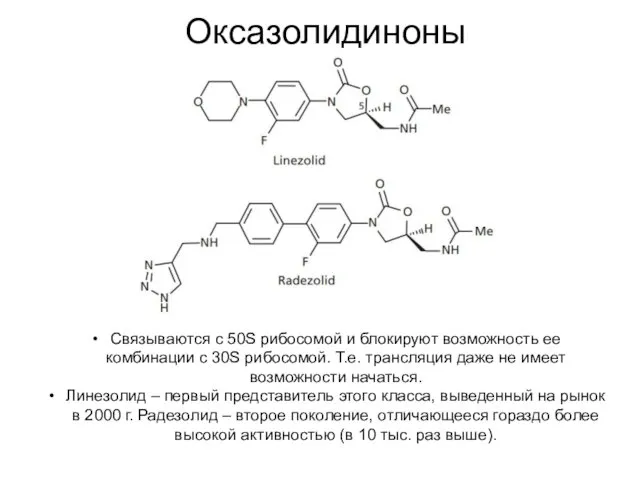 Оксазолидиноны Связываются с 50S рибосомой и блокируют возможность ее комбинации