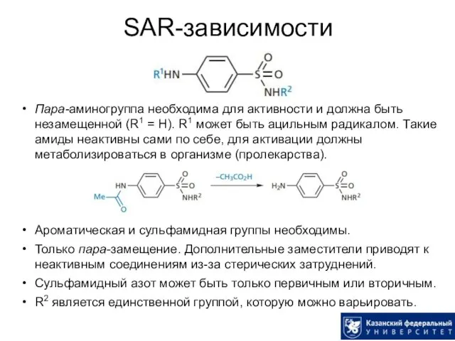 SAR-зависимости Пара-аминогруппа необходима для активности и должна быть незамещенной (R1 = H). R1