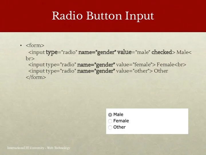 Radio Button Input International IT University - Web Technology Male Female Other