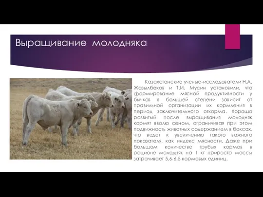 Выращивание молодняка Казахстанские ученые-исследователи Н.А. Жазылбеков и Т.И. Мусин установили, что формирование мясной