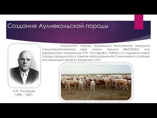 Создание Аулиекольской породы Созданием породы руководила Всесоюзная академия сельскохозяйственных наук имени Ленина (ВАСХНИЛ)