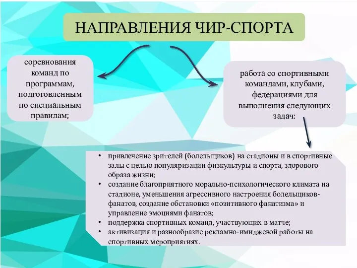 соревнования команд по программам, подготовленным по специальным правилам; НАПРАВЛЕНИЯ ЧИР-СПОРТА