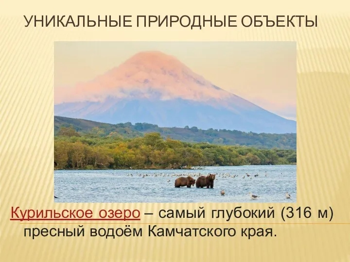 Курильское озеро – самый глубокий (316 м) пресный водоём Камчатского края. УНИКАЛЬНЫЕ ПРИРОДНЫЕ ОБЪЕКТЫ