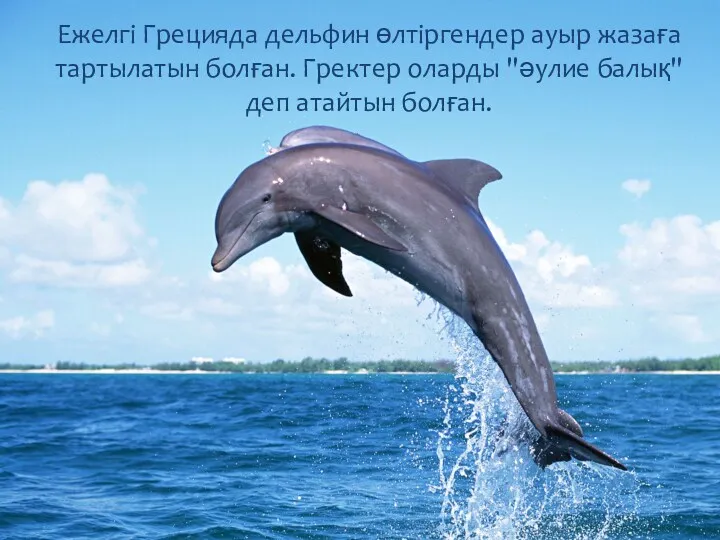 Ежелгі Грецияда дельфин өлтіргендер ауыр жазаға тартылатын болған. Гректер оларды "әулие балық" деп атайтын болған.