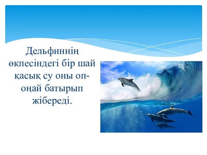 Дельфиннің өкпесіндегі бір шай қасық су оны оп-оңай батырып жібереді.