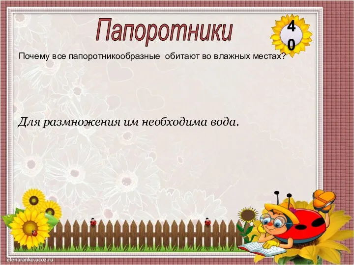 Для размножения им необходима вода. Почему все папоротникообразные обитают во влажных местах? 40 Папоротники