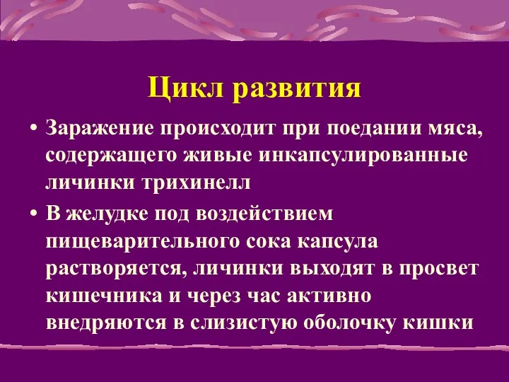 Цикл развития Заражение происходит при поедании мяса, содержащего живые инкапсулированные