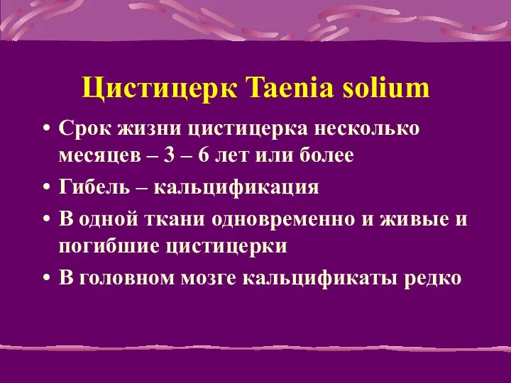 Цистицерк Taenia solium Срок жизни цистицерка несколько месяцев – 3