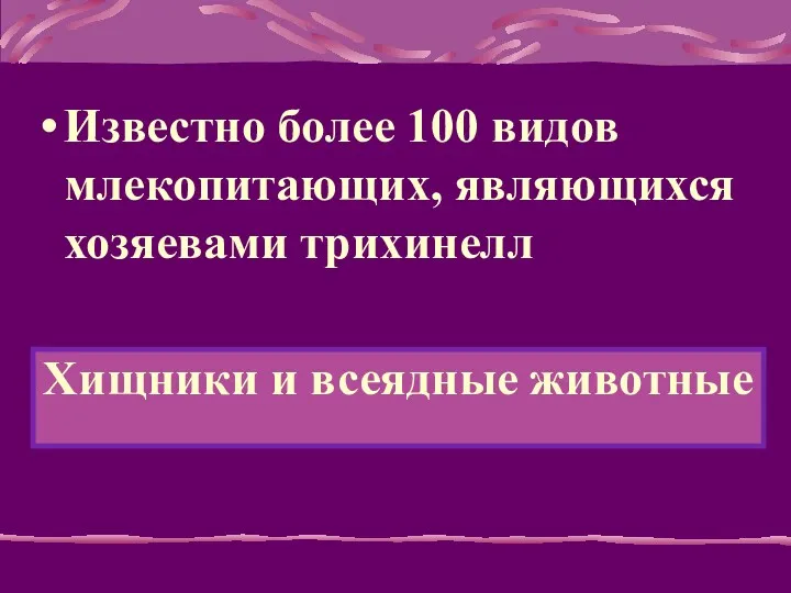 Известно более 100 видов млекопитающих, являющихся хозяевами трихинелл Хищники и всеядные животные