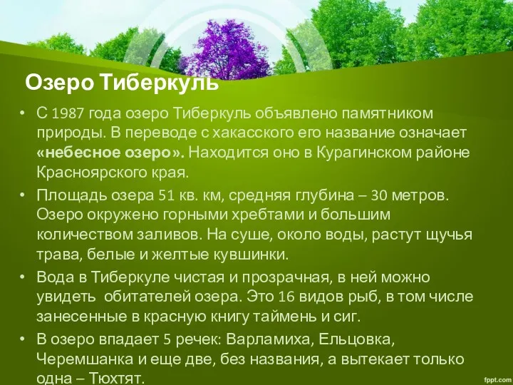 Озеро Тиберкуль С 1987 года озеро Тиберкуль объявлено памятником природы. В переводе с