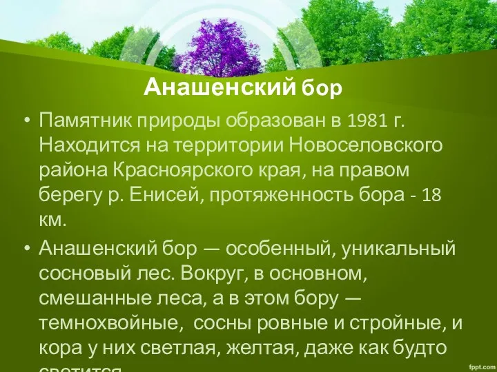 Анашенский бор Памятник природы образован в 1981 г. Находится на