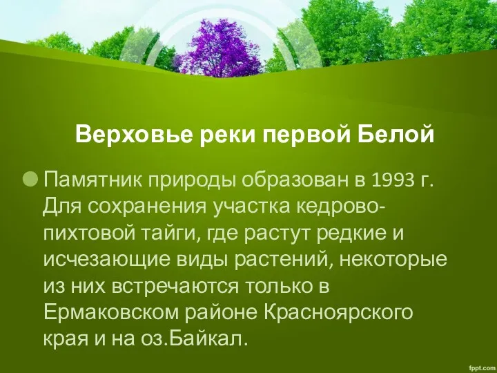 Верховье реки первой Белой Памятник природы образован в 1993 г.